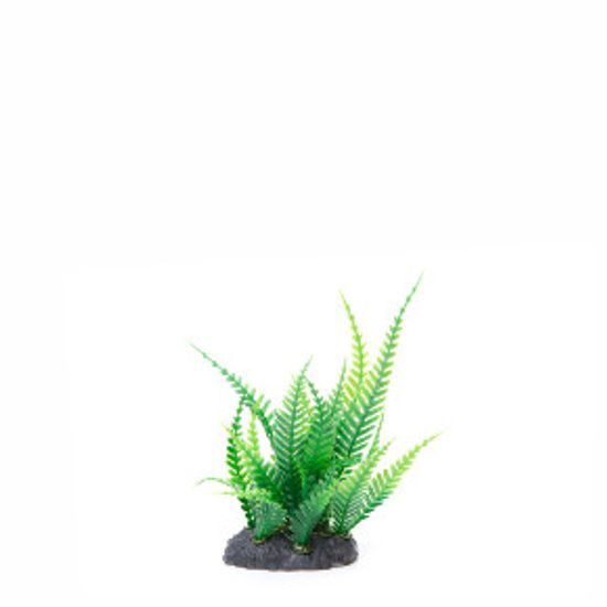 Kapradí mini, akvarijní plastová rostlinka