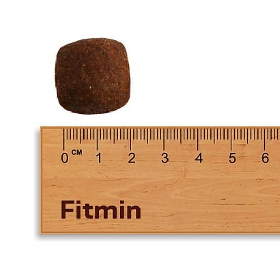 Fitmin kompletní krmivo pro psy For Life Adult Large Breed 3 kg