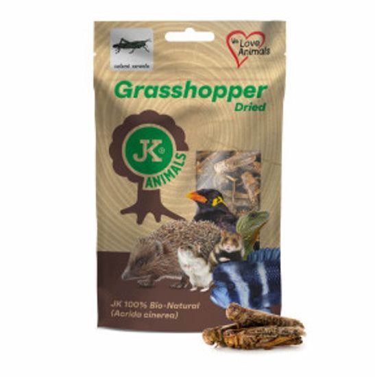 Sušené saranče, Grasshopper Dried, 80 g