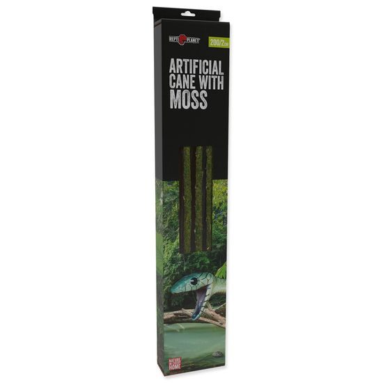 Dekorace liána REPTI PLANET s mechem délka 200 cm