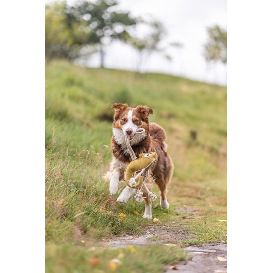 Chamelion - chameleon na laně, 45 cm, hračka pro psy, 100% pravá kůže/lano, žlutá