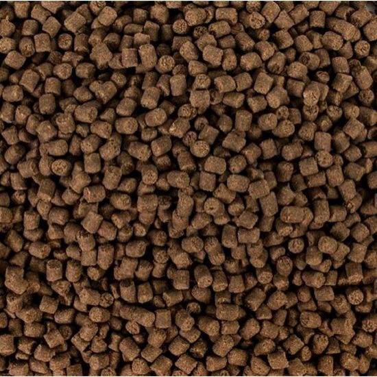 Tropical Sterlet Basic M 3l