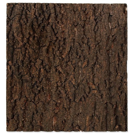 Pozadí REPTI PLANET korek přírodní 43,5 x 41 x 2 cm