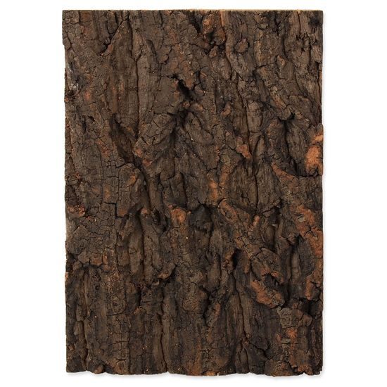 Pozadí REPTI PLANET korek přírodní 19 x 27,3 x 2 cm