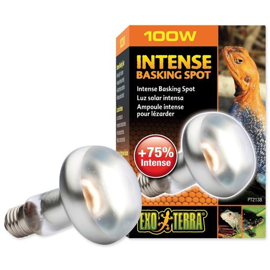 Žárovka EXO TERRA Intense Basking Spot