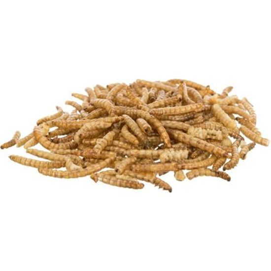 MEALWORMS, mouční červi sušení, 70g