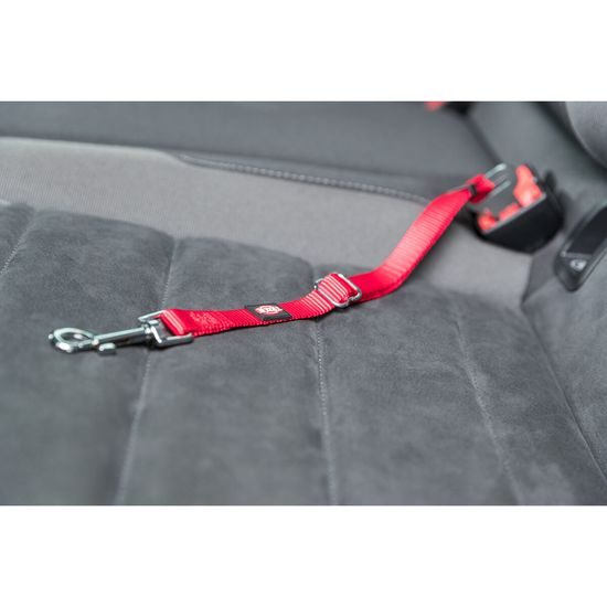 Postroj do auta pro kočku 20-50cm