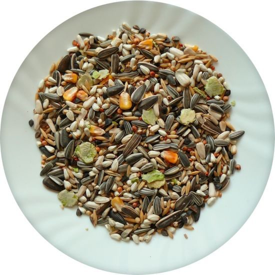 Avicentra papoušek velký 15kg classic