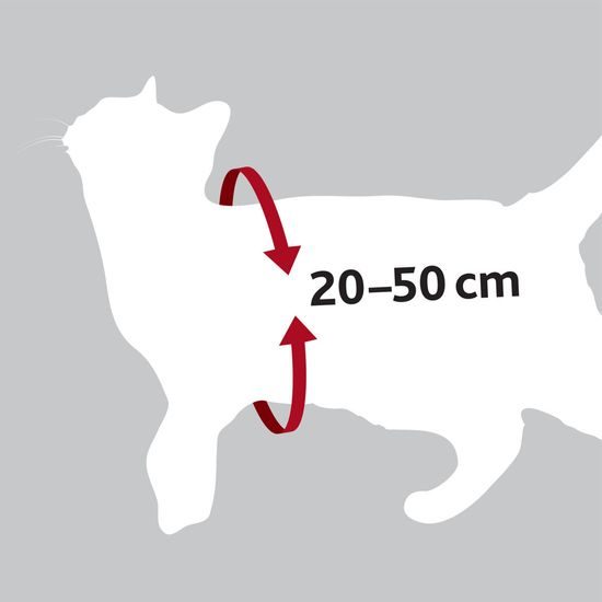 Postroj do auta pro kočku 20-50cm