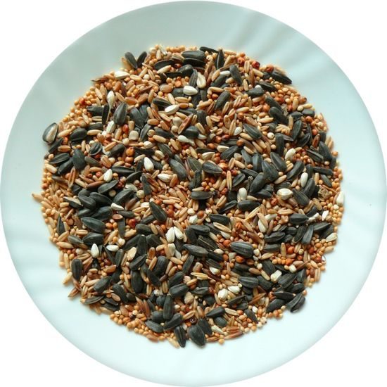 Avicentra směs do krmítek 20kg