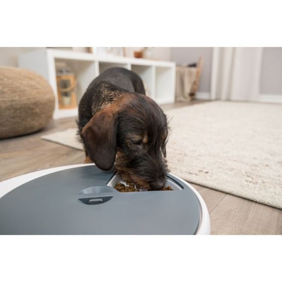 Automatické krmítko TX5, 5x240ml