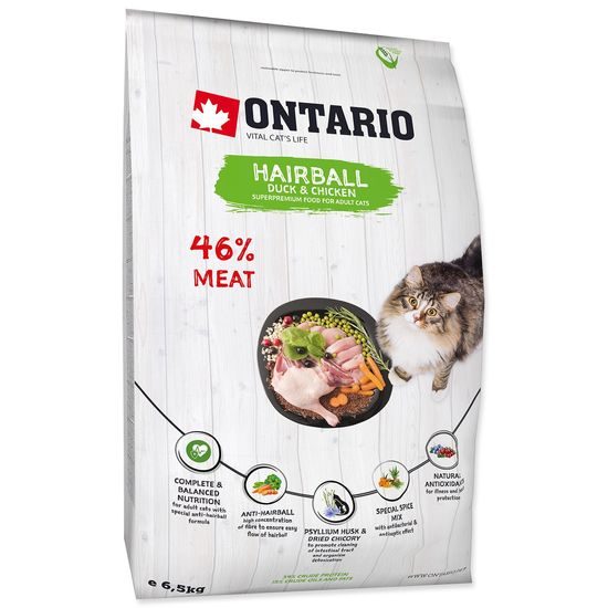 ONTARIO Cat Hairball