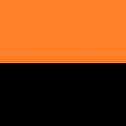 Žabky CALVIN KLEIN černá/oranžová