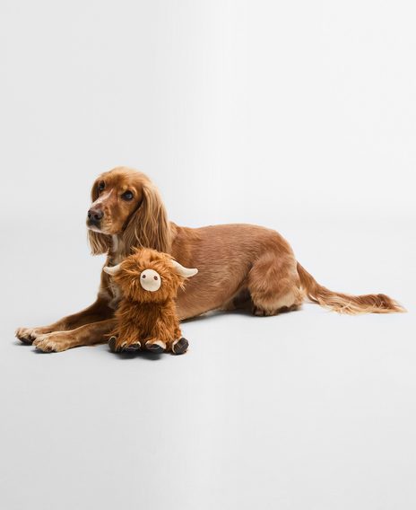 Barbour Dog Highland Cow Toy