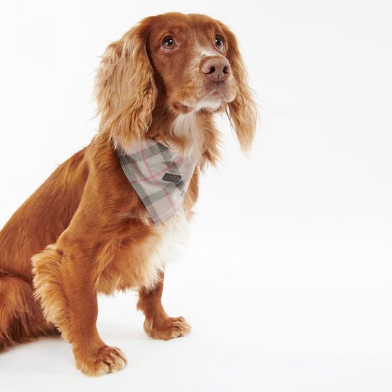 Bavlněná bandana Barbour - Taupe / Pink Tartan