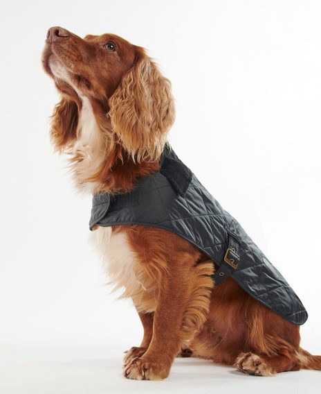 Barbour Quilted Dog Coat — Black