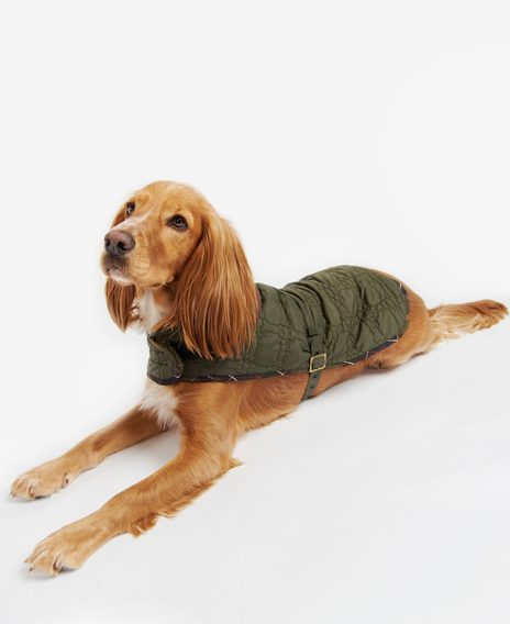 Barbour Dog Bone Quilted Dog Coat