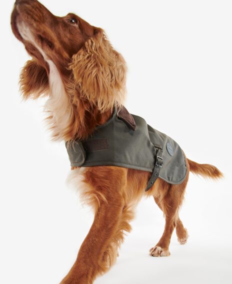 Barbour Wax Dog Coat — Olive