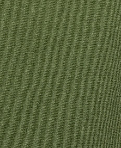 Tričko Barbour Ridge Logo Tee - zelené