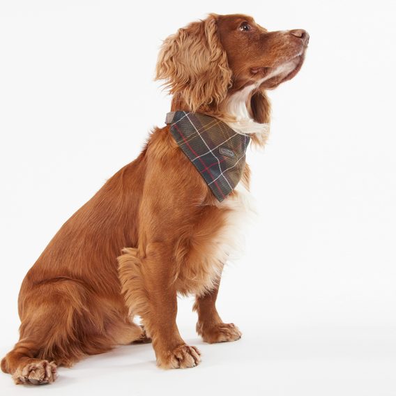 Barbour Tartan Bandana