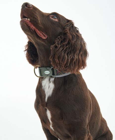 Barbour Reflective Tartan Comfort Dog Collar