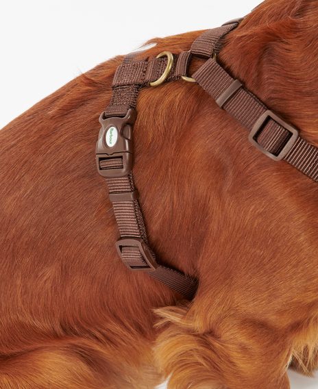 Barbour Travel and Exercise Harness