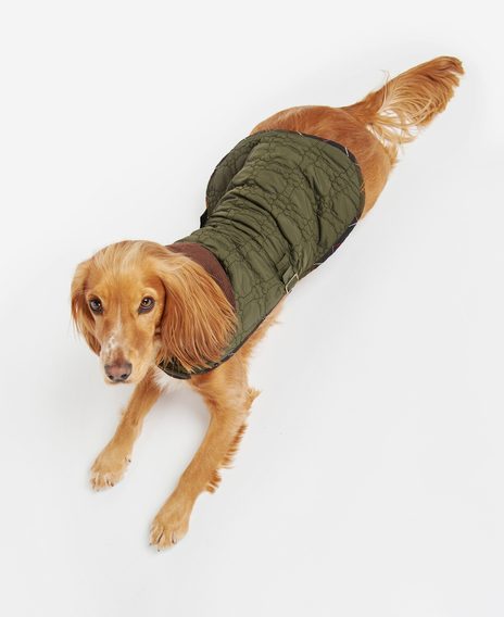 Barbour Dog Bone Quilted Dog Coat