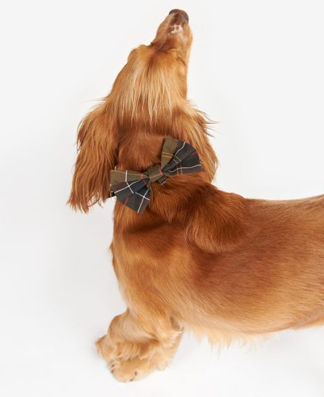 Barbour Tartan Dog Bow Tie