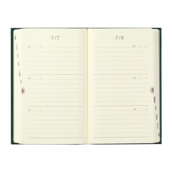 Tříletý deník Midori 3 Years Diary: 70th Limited Edition