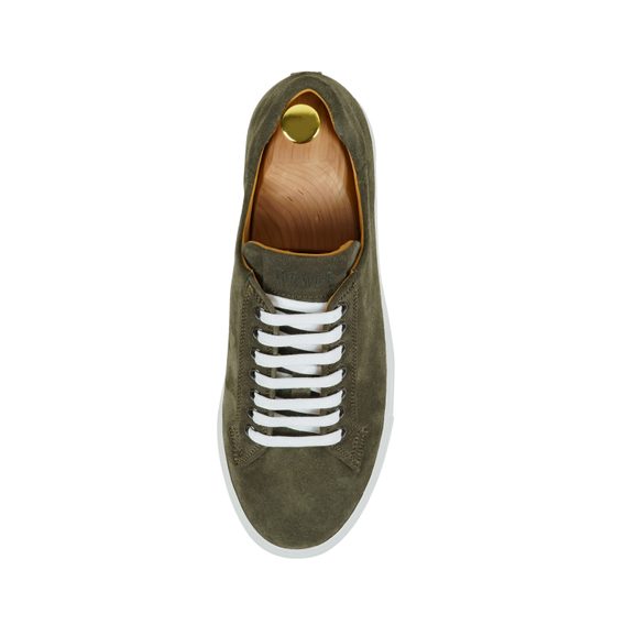 Berwick Campbell — olivové