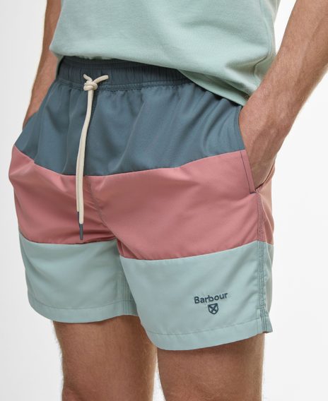 Barbour Dale Swim Shorts