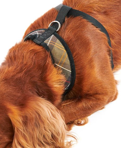 Barbour Tartan Dog Harness