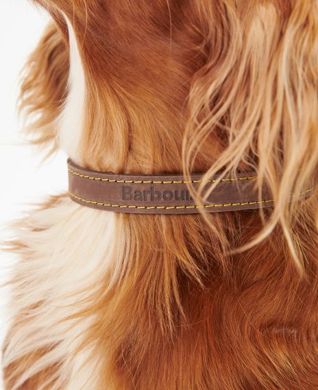 Barbour Leather Dog Collar — Brown