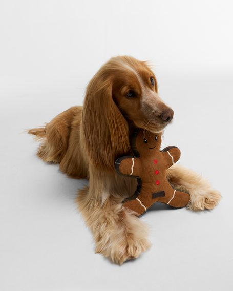 Barbour Dog Christmas Gingerbread Toy