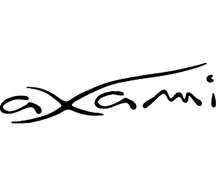AXAMI