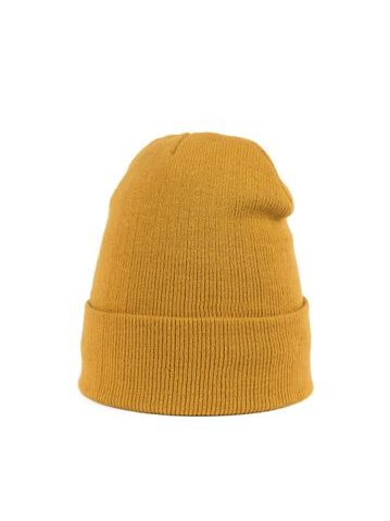Čepice Must-have hipstera