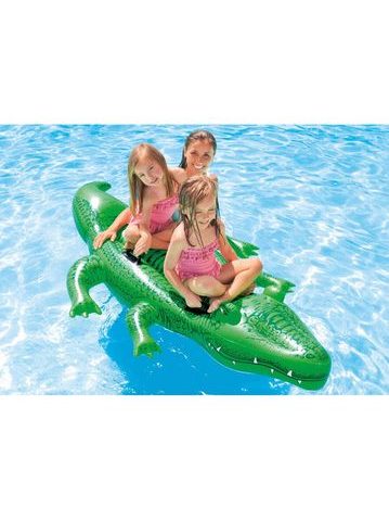 INTEX Kruh nafukovací RiverRun