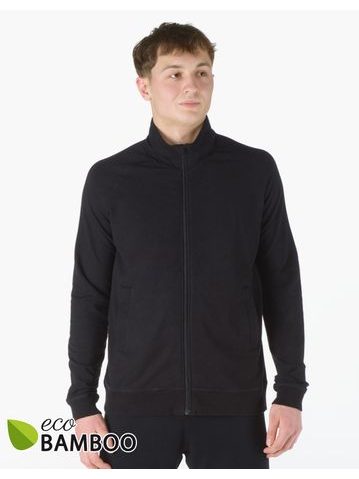 GINA pánské mikina s dlouhým rukávem, dlouhý rukáv, šité, jednobarevné ECO Bamboo Sport 99008P - černá