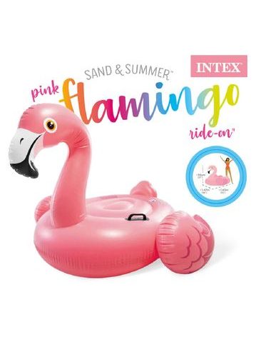 INTEX Kruh nafukovací RiverRun