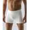 GINA pánské boxerky s delší nohavičkou, delší nohavička, bezešvé, jednobarevné Bamboo PureLine 54004P - bílá