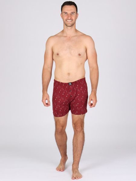 Pánské trenky MICHAL 295