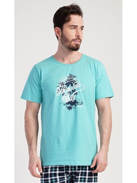 Pánské pyžamo šortky Honolua bay - mátová