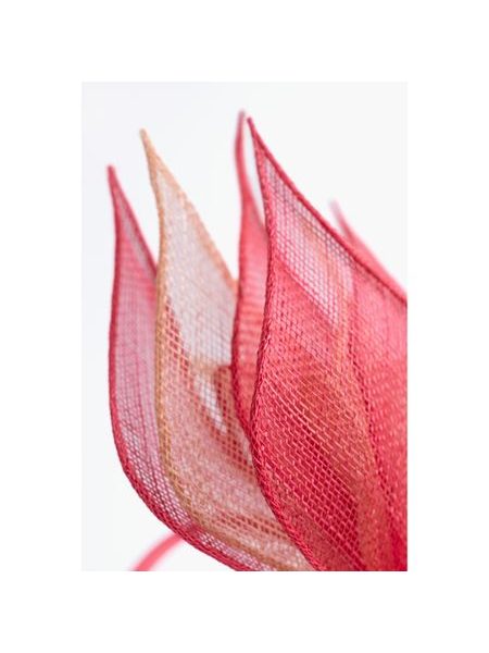 Fascinátor Erebus - meruňkový