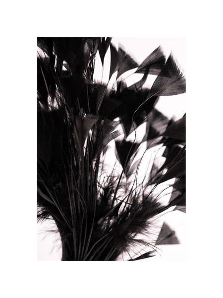 Fascinátor záhad - černý