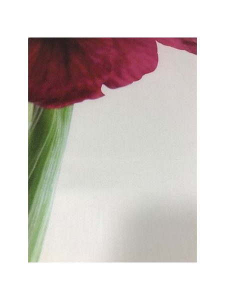 Luxusní bavlněné saténové povlečení, The Laurels Collection