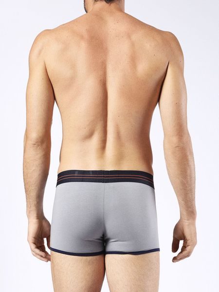 Pánské boxerky DIESEL Shawn 95Q šedé