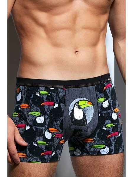Pánské boxerky 280/150 Tattoo toucan
