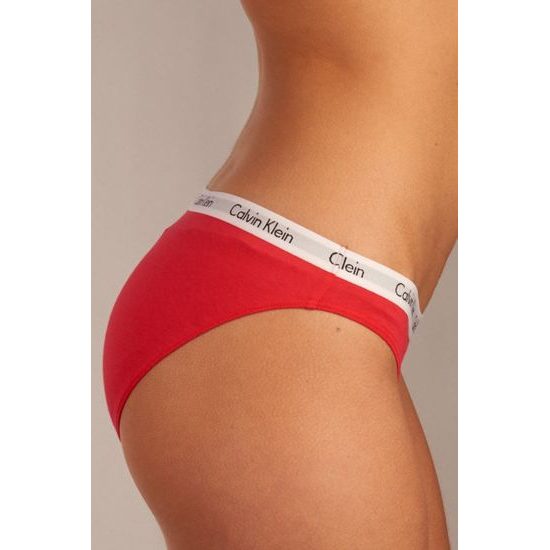 Dámské kalhotky CALVIN KLEIN Carousel 3-pack bikini ODR