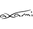 AXAMI