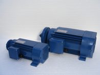 Pilové elektromotory